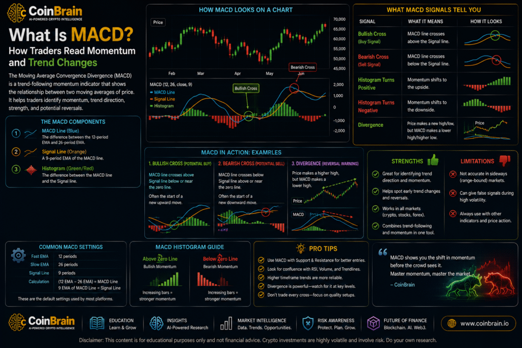 What Is MACD? How Traders Read Momentum and Trend Changes